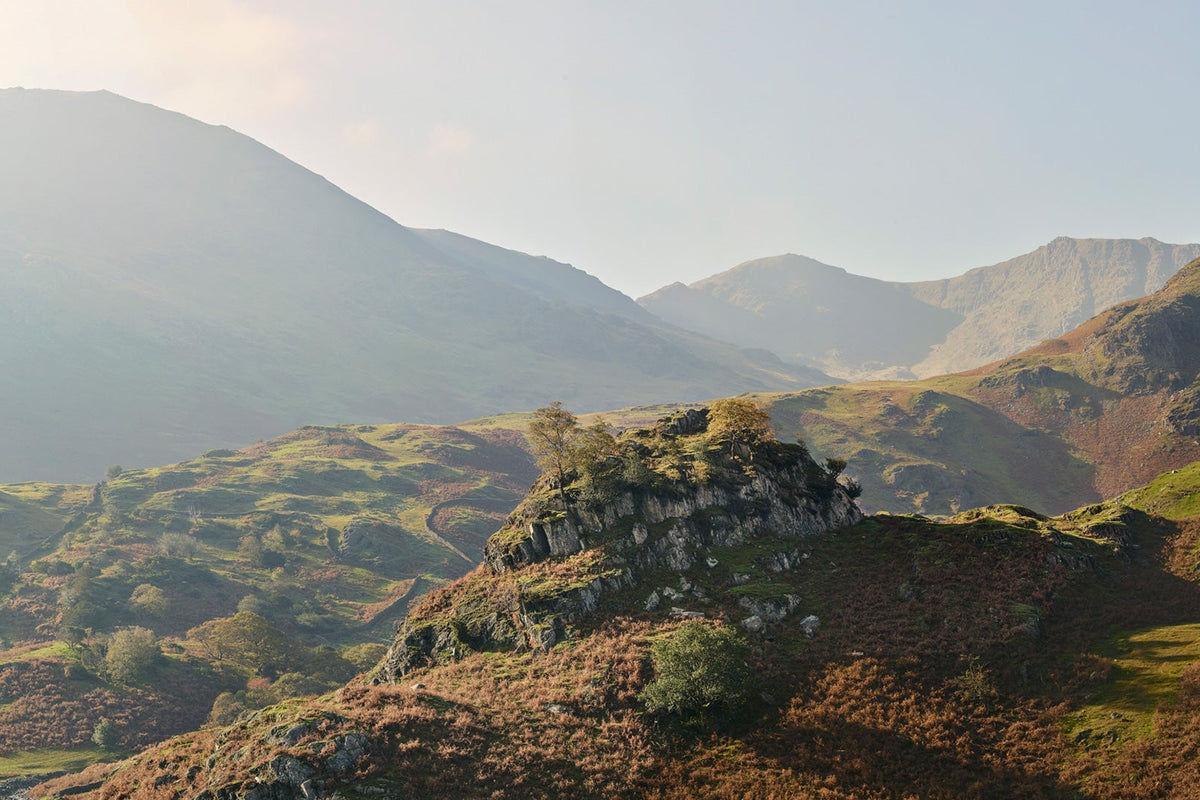 Our Home Becomes World Heritage Site