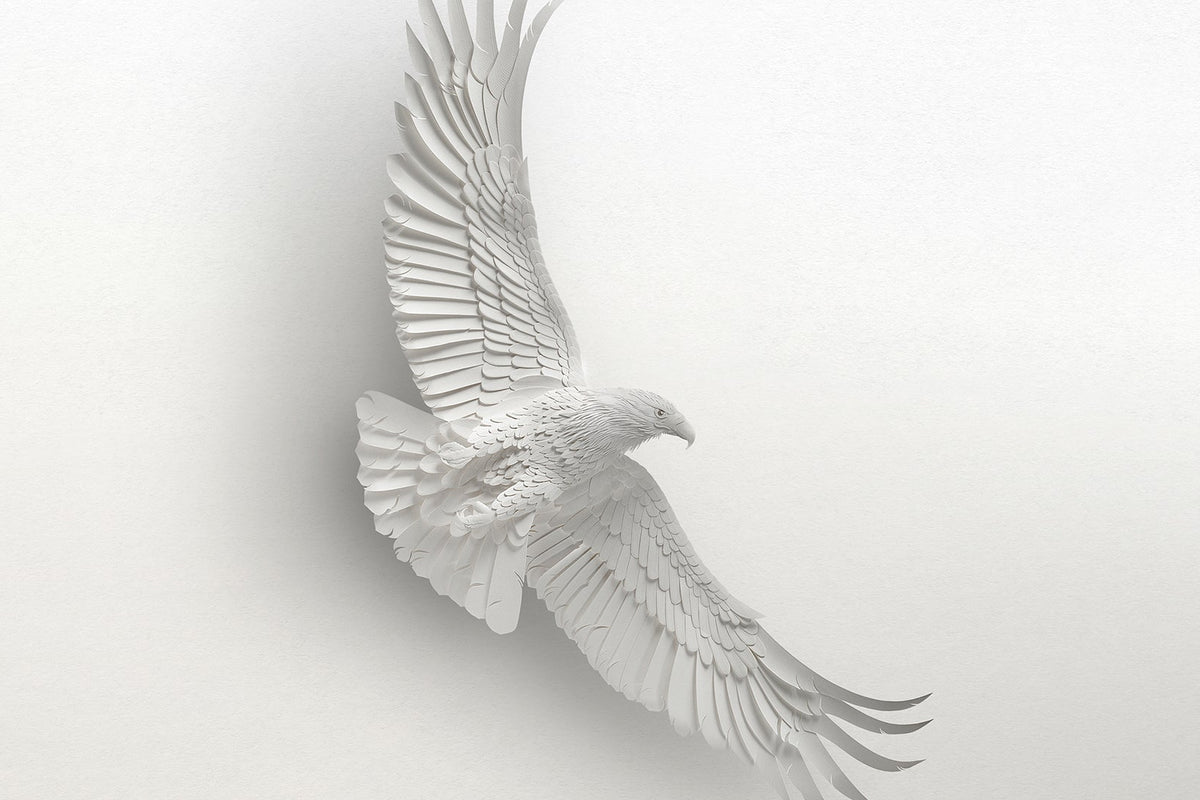 An International Exclusive: The Whiskymaker's Editions Volar